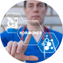 Healthcare professional in a blue medical scrubs top with a stethoscope around their neck, indicating a clinical context. The word 'HORMONES' is prominently displayed in the center within a hexagon shape, highlighting its importance in the discussion. To the left of 'HORMONES,' an icon of a microscope symbolizes scientific study or research, while to the right, an icon depicting a molecular structure represents chemistry or biological processes. The healthcare professional is pointing at the word 'HORMONES,' emphasizing its significance. The blurred background draws attention to the provider and the information presented, conveying a blend of medical professionalism and scientific inquiry, focusing on the role of hormones in health.